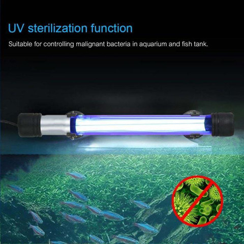 Fish UV light