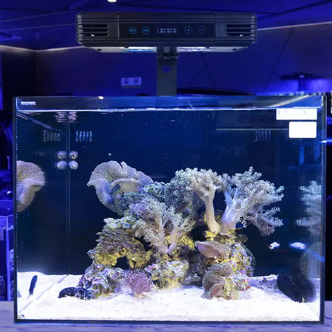 Full color spectrum coral LED light
